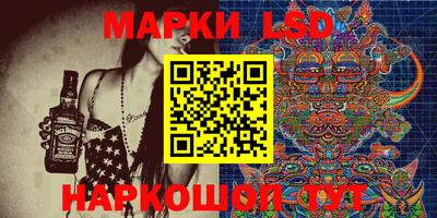 гидропоника Дубна