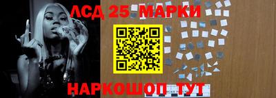 гидропоника Дубна