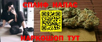 гидропоника Дубна