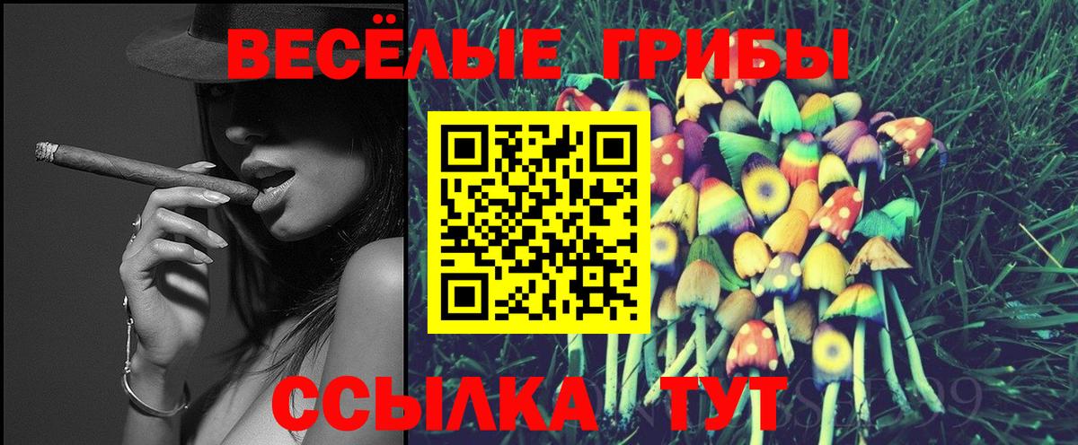 Галлюциногенные грибы Cubensis  Галлюциногенные грибы прущие грибы  Вход с VPN  Ногинск 